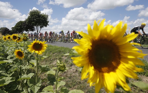 Tour de France, seventh stage